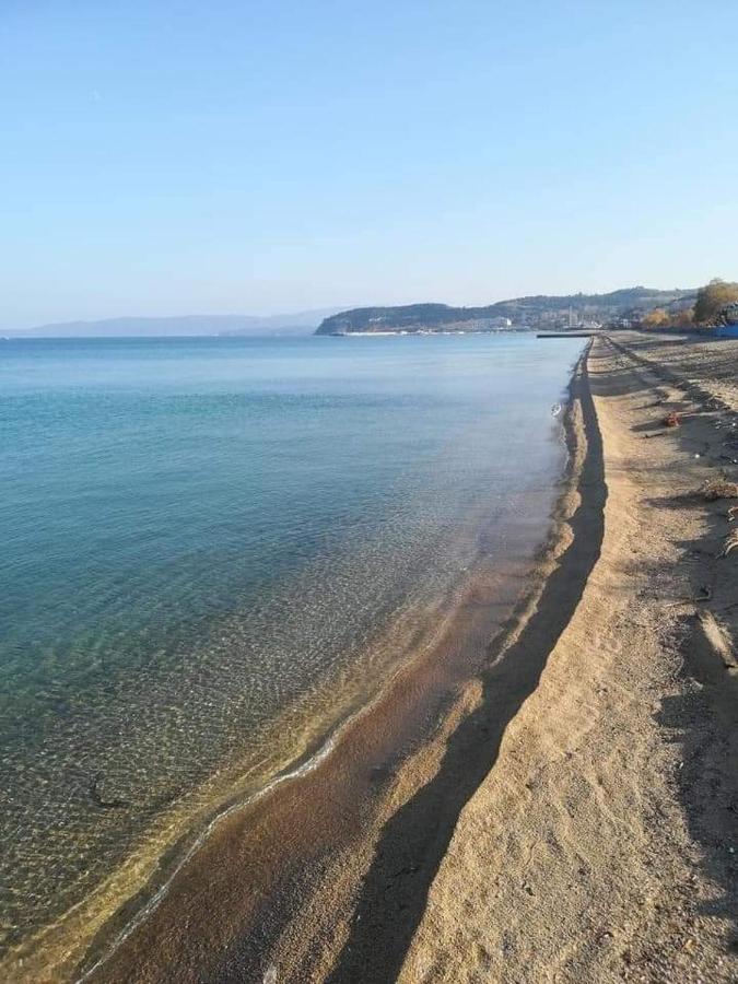 Hotel Papanikolaou イエリソス エクステリア 写真